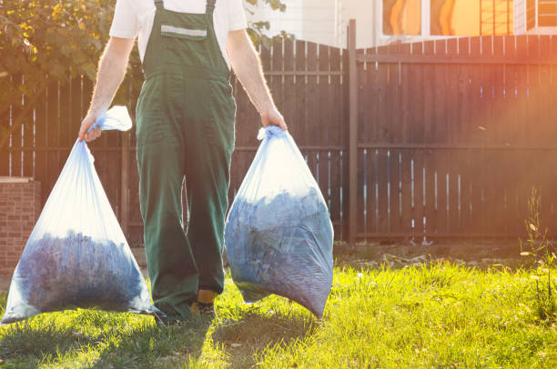 Attic Cleanout Services in Albert Lea, MN