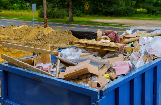 Best Electronics Removal Services  in Albert Lea, MN